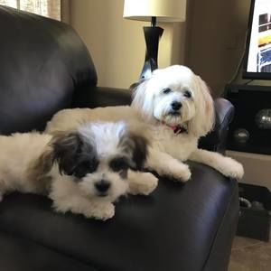 Meet your Posher, Barb